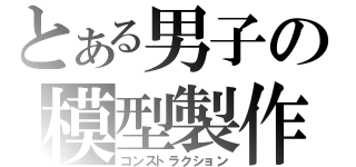 とある男子の模型製作（コンストラクション）