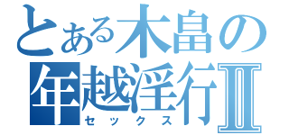 とある木畠の年越淫行Ⅱ（セックス）