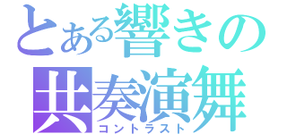 とある響きの共奏演舞（コントラスト）