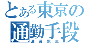 とある東京の通勤手段（満員電車）