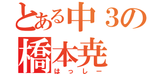 とある中３の橋本尭（はっしー）