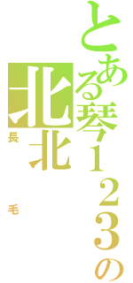 とある琴１２３の北北（長毛）