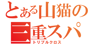 とある山猫の三重スパイ（トリプルクロス）