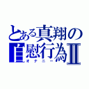 とある真翔の自慰行為Ⅱ（オナニー）