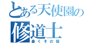 とある天使園の修道士（鼻くその指）