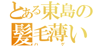 とある東島の髪毛薄い（ハゲ）