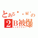 とある职业雇佣兵の２Ｂ被爆菊（インデックス）