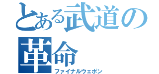 とある武道の革命（ファイナルウェポン）