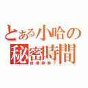 とある小哈の秘密時間（夜裡靜靜？）