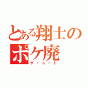 とある翔士のポケ廃（ザ・ニート）