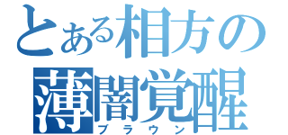 とある相方の薄闇覚醒（ブラウン）