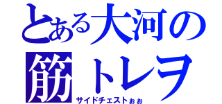 とある大河の筋トレヲタク（サイドチェストぉぉ）