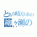 とある岐阜市の柳ヶ瀬のやなな（段ボール）