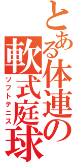 とある体連の軟式庭球部（ソフトテニス）