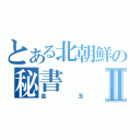 とある北朝鮮の秘書Ⅱ（金玉）