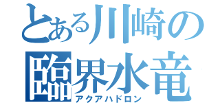 とある川崎の臨界水竜（アクアハドロン）