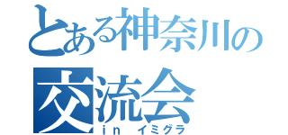 とある神奈川の交流会（ｉｎ イミグラ）