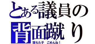 とある議員の背面蹴り（落ちた子 ごめんね！）