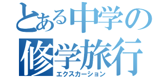 とある中学の修学旅行（エクスカーション）