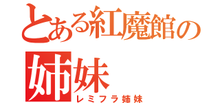 とある紅魔館の姉妹（レミフラ姉妹）