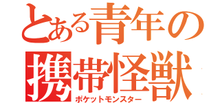 とある青年の携帯怪獣（ポケットモンスター）