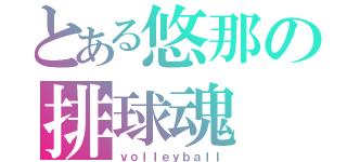 とある悠那の排球魂（ｖｏｌｌｅｙｂａｌｌ）