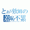 とある欸姆の羞恥不累（インデックス）