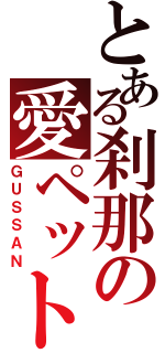 とある刹那の愛ペット（ＧＵＳＳＡＮ）