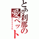 とある刹那の愛ペット（ＧＵＳＳＡＮ）