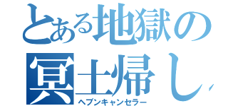 とある地獄の冥土帰し（ヘブンキャンセラー）