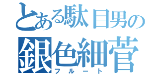 とある駄目男の銀色細菅（フルート）