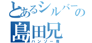 とあるシルバー帯の島田兄（ハンゾー専）