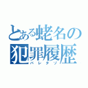 とある蛯名の犯罪履歴（バレタゾ）