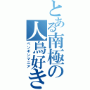 とある南極の人鳥好き（ペンギンマニア）