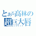 とある髙林の超巨大唇（ビックリップ）