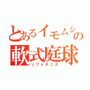 とあるイモムシの軟式庭球（ソフトテニス）