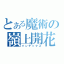 とある魔術の嶺上開花（インデックス）