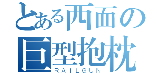 とある西面の巨型抱枕（ＲＡＩＬＧＵＮ）