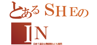 とあるＳＨＥのＩＮ（日本で違法な無線機なども販売）