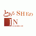 とあるＳＨＥのＩＮ（日本で違法な無線機なども販売）