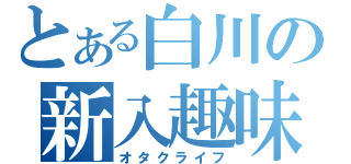 とある白川の新入趣味（オタクライフ）