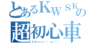 とあるＫＷＳＫの超初心車（テラバッハ（（・ω・）））