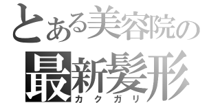 とある美容院の最新髪形（カクガリ）