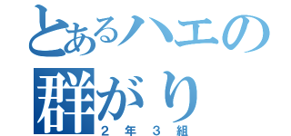 とあるハエの群がり（２年３組）