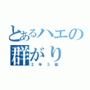 とあるハエの群がり（２年３組）