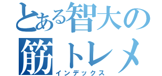 とある智大の筋トレメニュー（インデックス）