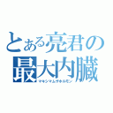 とある亮君の最大内臓（マキシマムザホルモン）