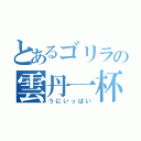 とあるゴリラの雲丹一杯（うにいっぱい）