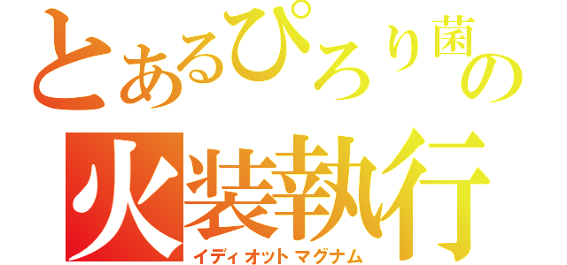 とあるぴろり菌の火装執行（イディオットマグナム）