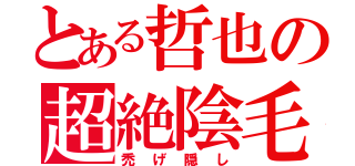 とある哲也の超絶陰毛（禿げ隠し）